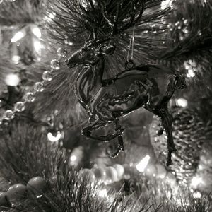 Meet your Posher, Cathryn